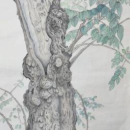 課程圖片 2